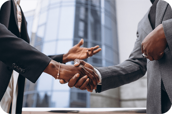 Comprehensive software development and IT services overview